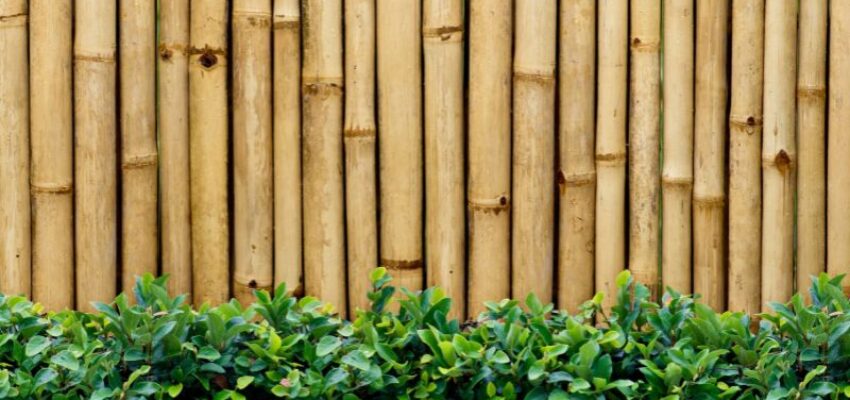 A bamboo pool fence.