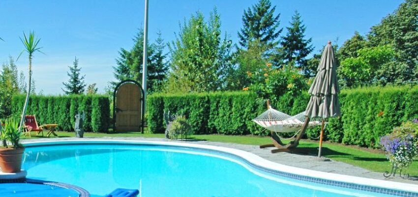 A hedge fence is perfect for swimming pools surrounded by green grass and vegetation