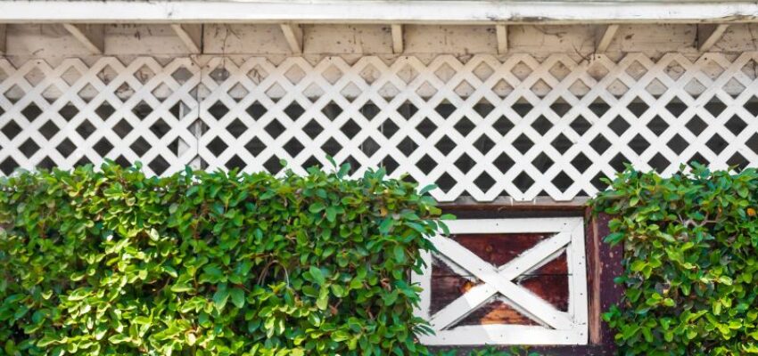 The lattice or crisscrossing wood pool fence provides a traditional look and allows light to pass through the small gaps.