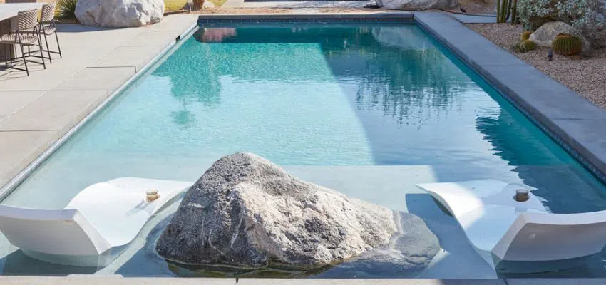 Minimalist outdoor pool with a sleek baja shelf and nature-inspired landscaping.