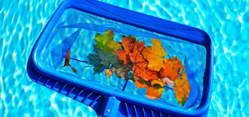 The leaves that get from the bottom of the pool.