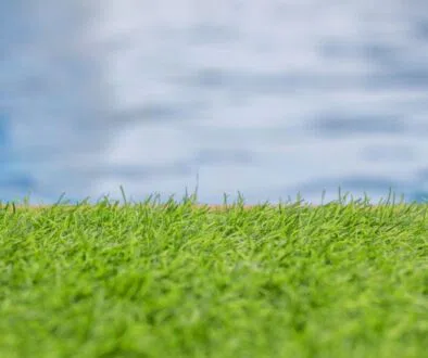 Artificial turf around pool is a synthetic grass substitute tailored for pool surroundings. It replicates the look and texture of natural grass minus the maintenance and mess.