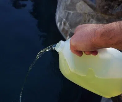 The homeowner adds liquid chlorine to the pool water.