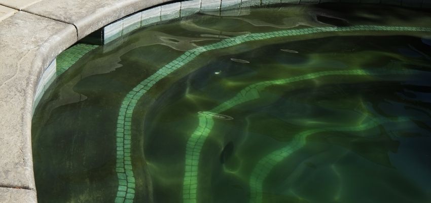 algae buildup on pool not holding chlorine